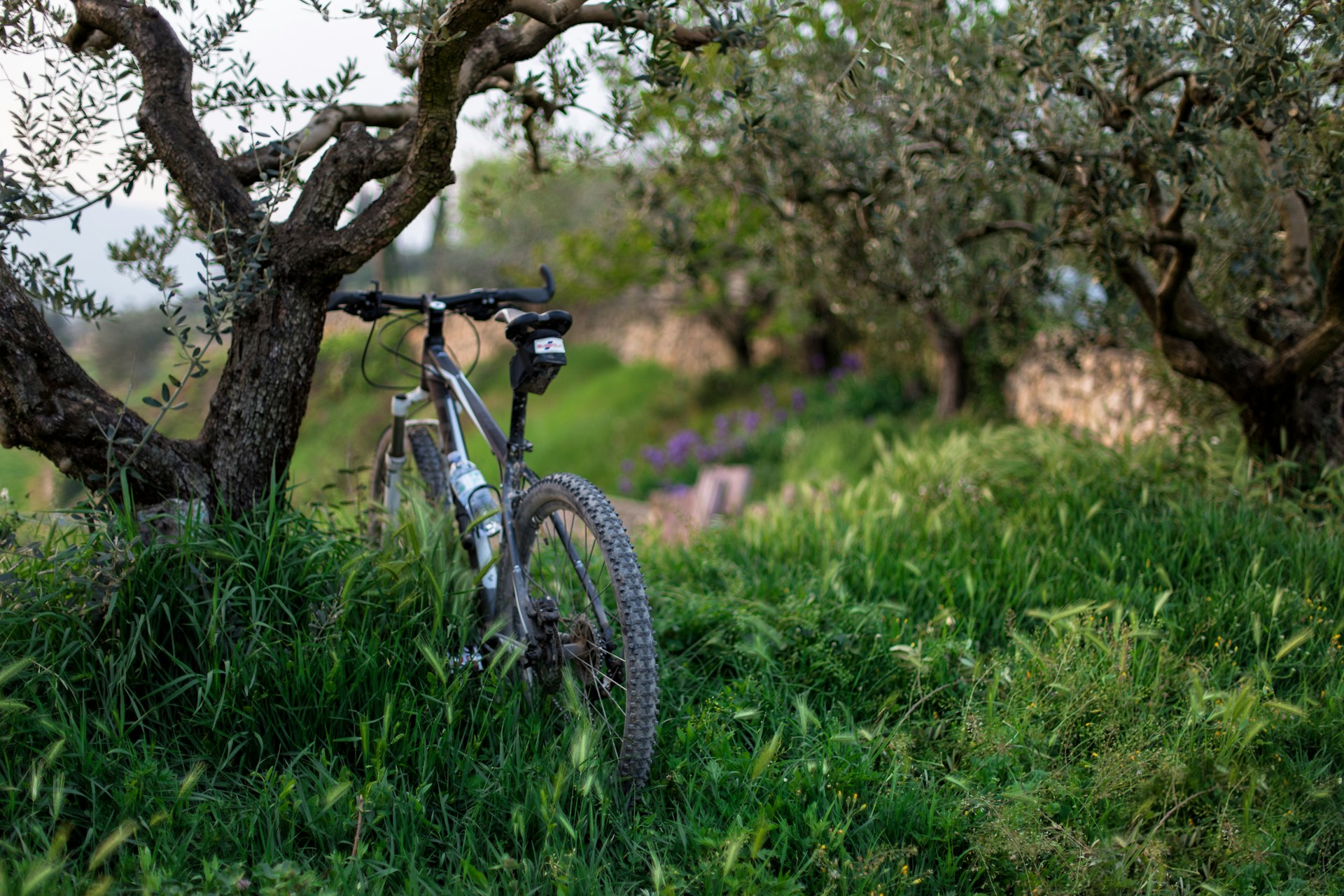 Photo vélo 3