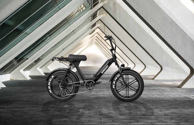 Image du vélo